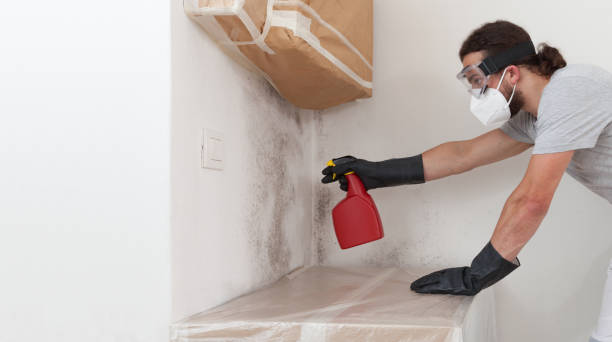 Professional Mold Removal technician working in Great River, NY